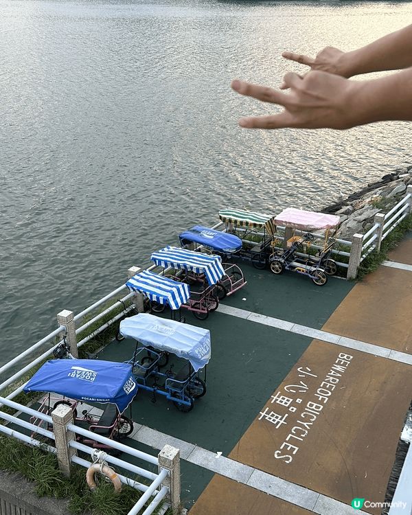 大埔海濱公園打卡一流附近亦有很多美食配套，?晒聖誕想出街日日...