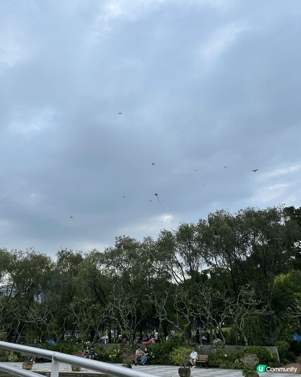 大埔海濱公園打卡一流附近亦有很多美食配套，?晒聖誕想出街日日...