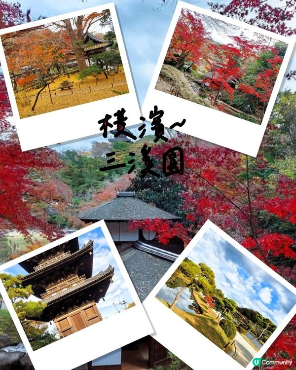 橫濱三溪園🍁🍂 秋意濃濃，漫步庭園 🚶‍♀️🚶‍♂️