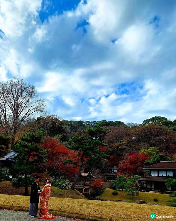 橫濱三溪園🍁🍂 秋意濃濃，漫步庭園 🚶‍♀️🚶‍♂️