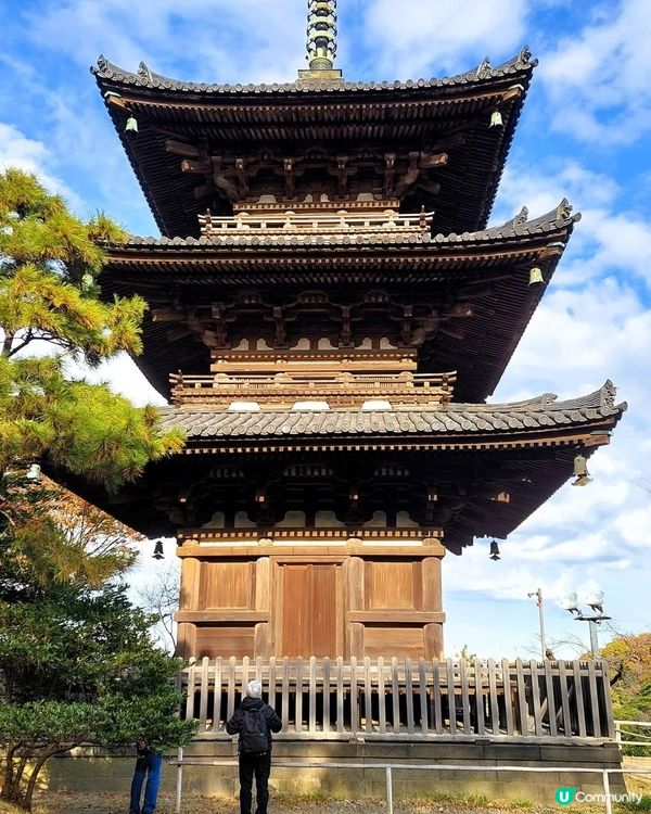 橫濱三溪園🍁🍂 秋意濃濃，漫步庭園 🚶‍♀️🚶‍♂️