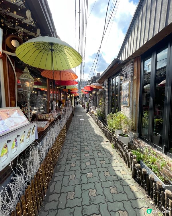 必到益善洞打卡