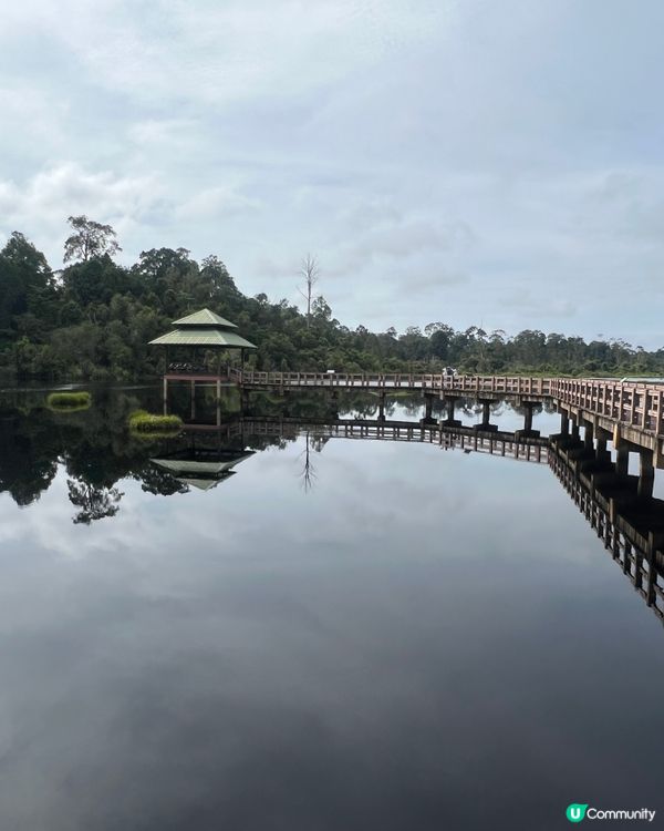 超美打卡勝地🤩汶萊天空之鏡