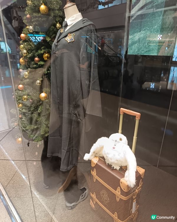 ⚡哈利迷注意⚡️ 