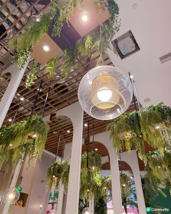 鮮嫩清甜的椰子雞煲