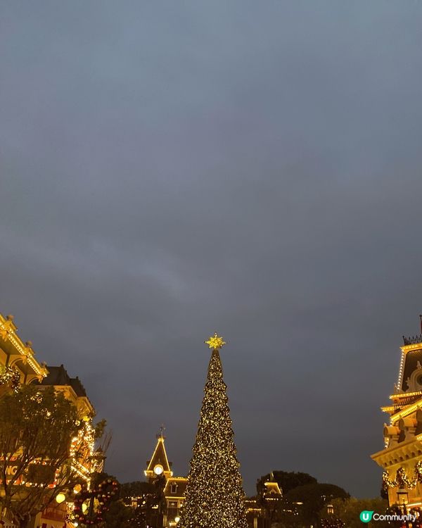 迪士尼聖誕勁有氣氛🎄🤩app有電子點餐功能