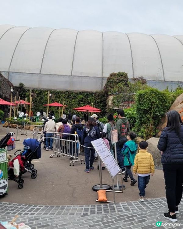 睇下熊貓 食下泰菜 @ 爐炭燒 ( 黃竹坑海洋公園 )