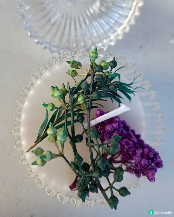 大埔龍尾沙灘節⛱️