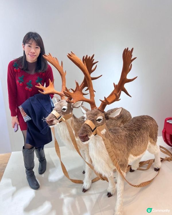 《同場加映 : Countdown to Mini-mas 