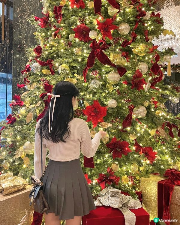 香港最漂亮的聖誕樹在這♥️🎄
