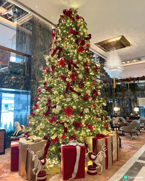 香港最漂亮的聖誕樹在這♥️🎄