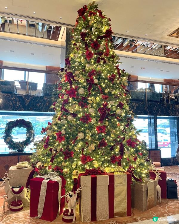 香港最漂亮的聖誕樹在這♥️🎄