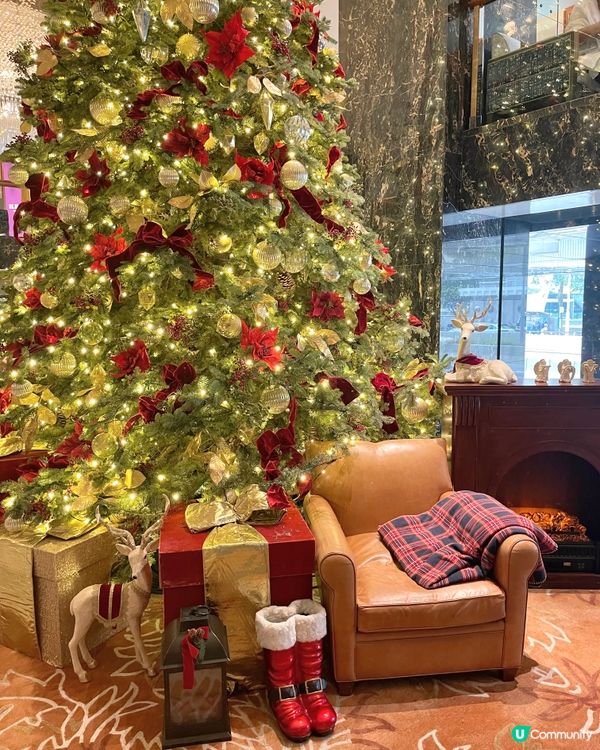 香港最漂亮的聖誕樹在這♥️🎄