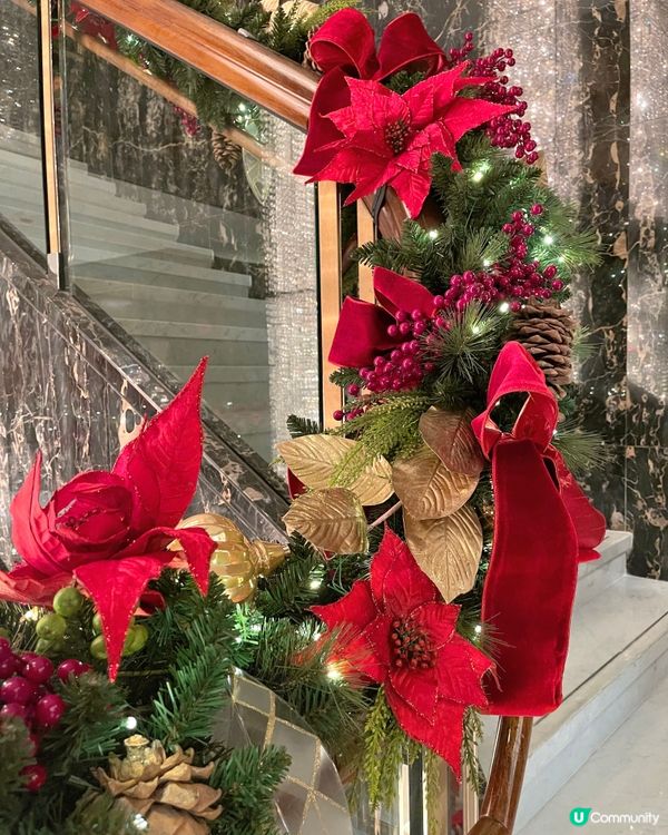 香港最漂亮的聖誕樹在這♥️🎄