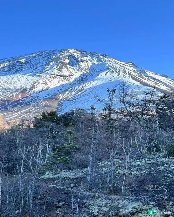 日本之旅，幸福滿瀉！🇯🇵❤️