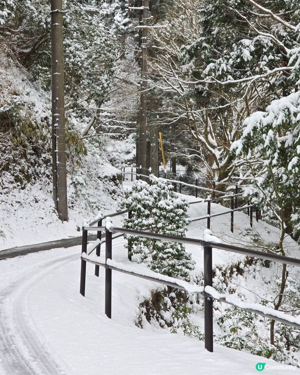 京都比叡山落雪啦😍每一幕猶如明信片咁靚🥰附交通方式🚠