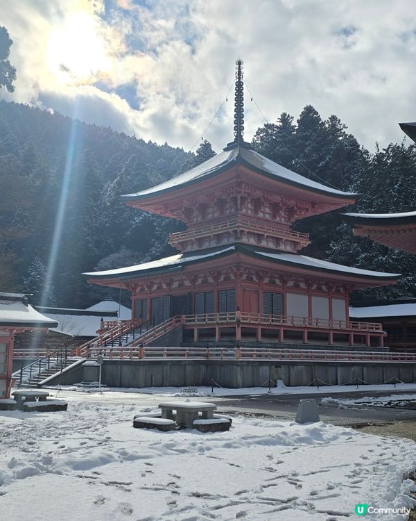 京都比叡山落雪啦😍每一幕猶如明信片咁靚🥰附交通方式🚠