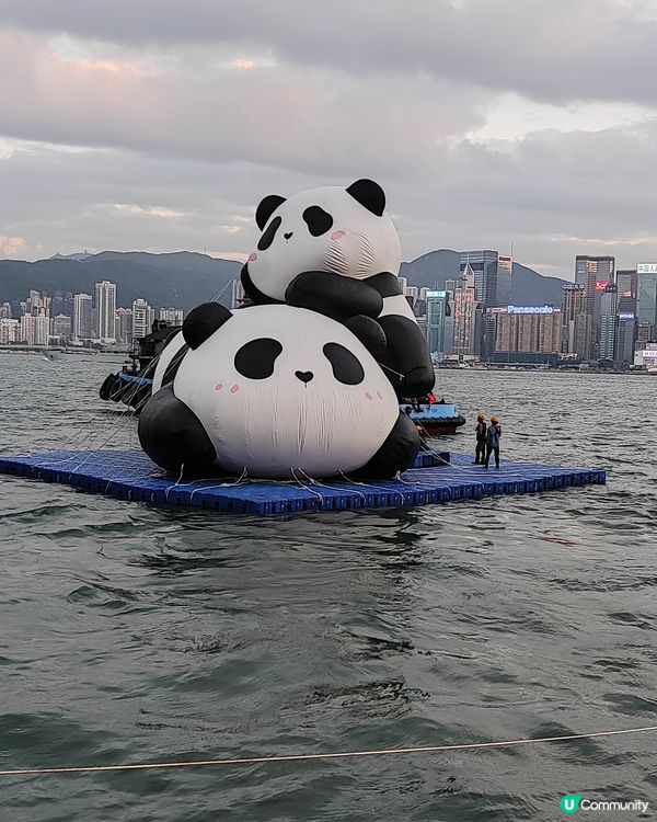 💥簡單的同熊貓仔打個卡💥