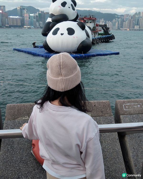 💥簡單的同熊貓仔打個卡💥