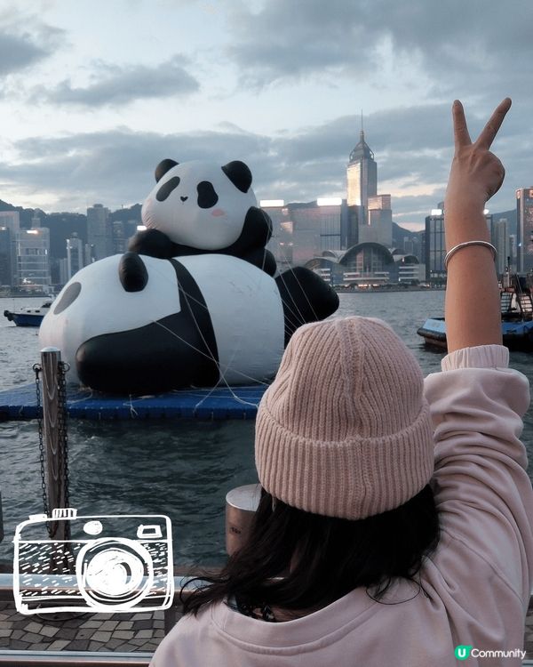 💥簡單的同熊貓仔打個卡💥