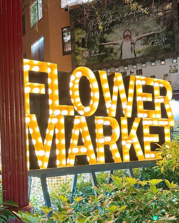 🎏旺角花墟有旋轉木馬🎠估唔到旺角街頭都有大型布置🤩