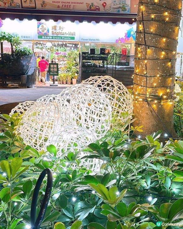 🎏旺角花墟有旋轉木馬🎠估唔到旺角街頭都有大型布置🤩