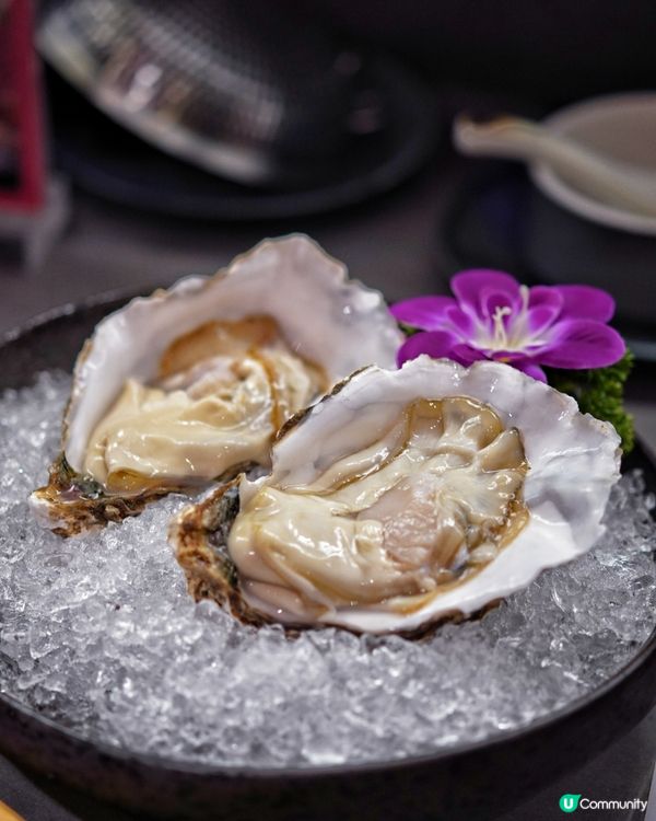 深圳就犟🔥 牛雞大團圓，鮮味爆炸！