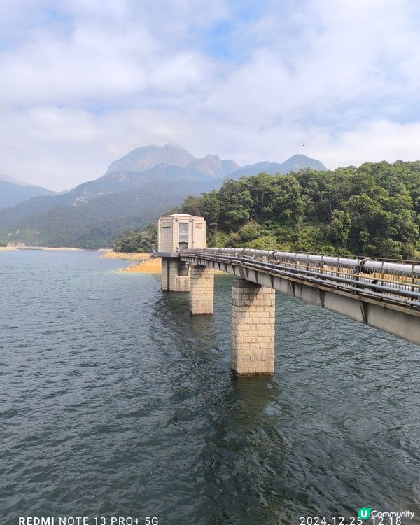 西九牙，小鳥回頭