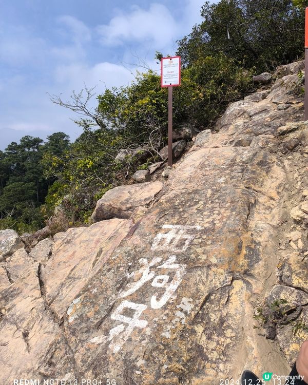 西九牙，小鳥回頭