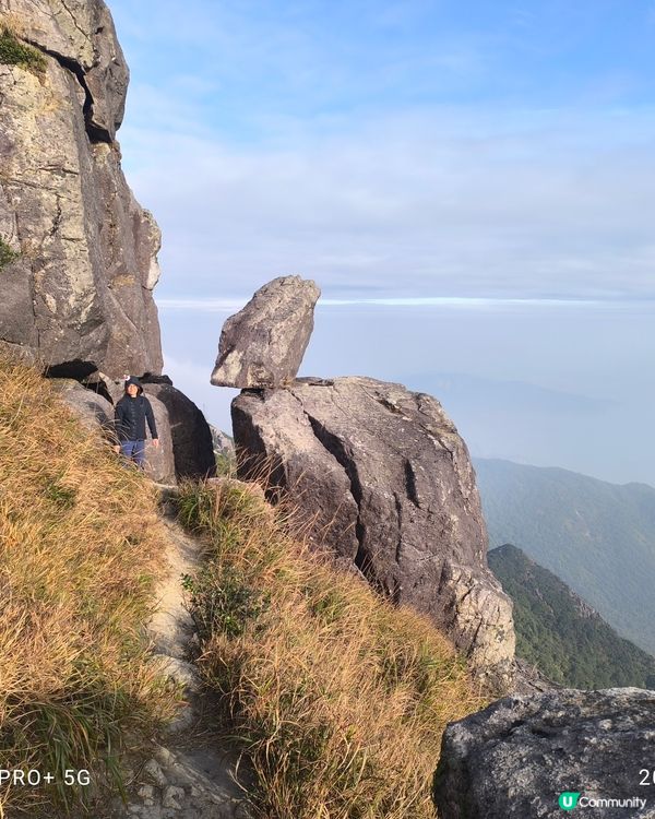 西九牙，小鳥回頭