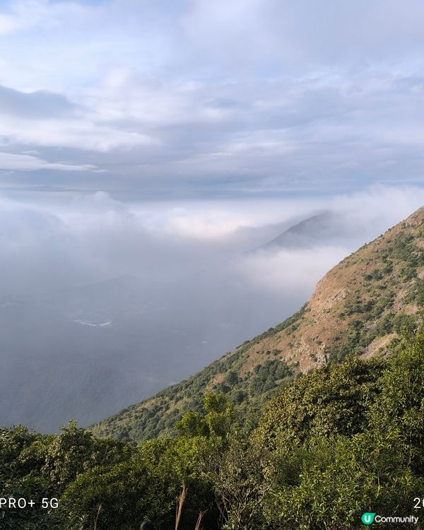 西九牙，小鳥回頭