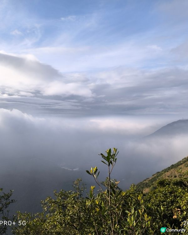 西九牙，小鳥回頭