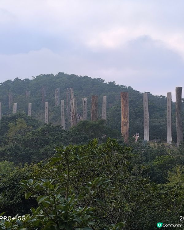 西九牙，小鳥回頭