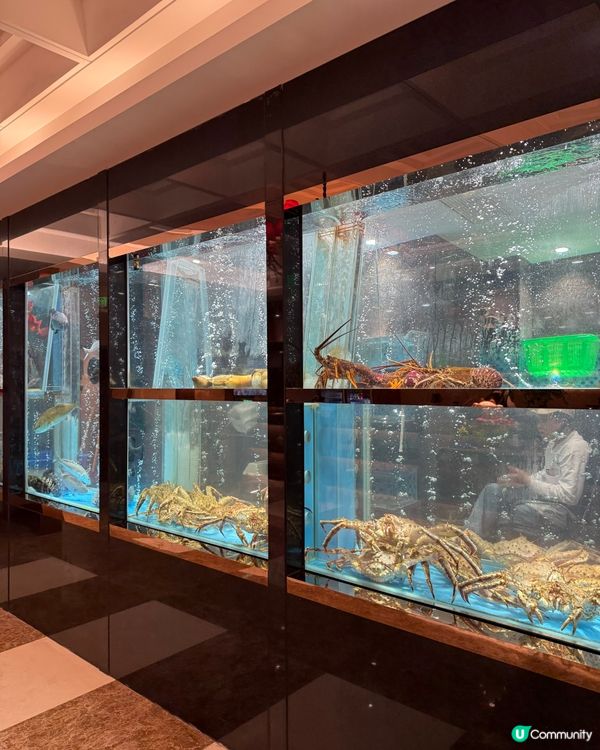 深圳悅景匯懷舊風酒樓打卡📸 民國風裝修，穿越時空！