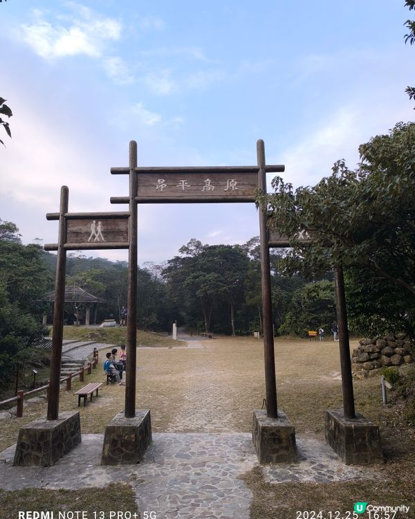 西九牙，小鳥回頭