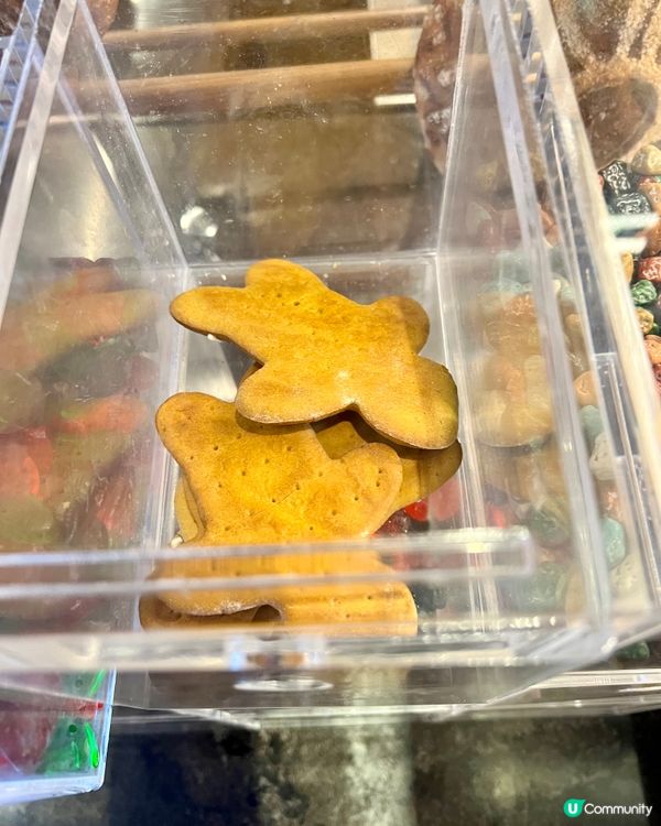 👀藝術品般的節日蛋糕｜深圳前海艾美酒店｜平安夜自助餐甜品