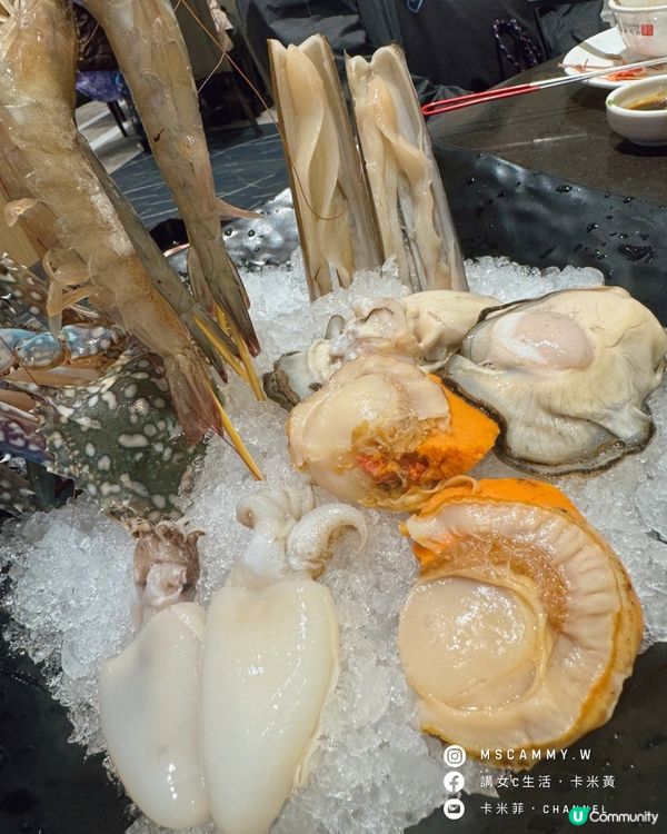 南昌薈🔥阿翁火鍋館 | 抵食任食任飲🤤