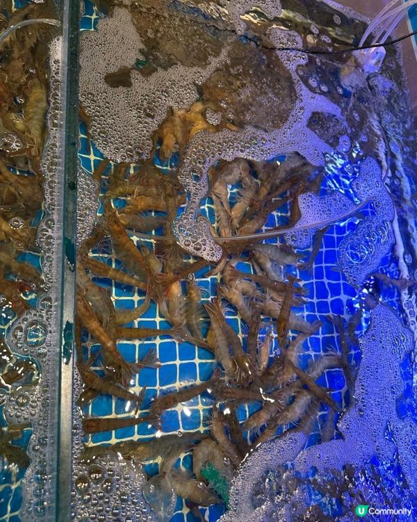 活蝦泰式火鍋🍲🩷