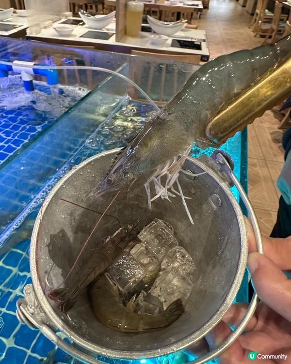 活蝦泰式火鍋🍲🩷