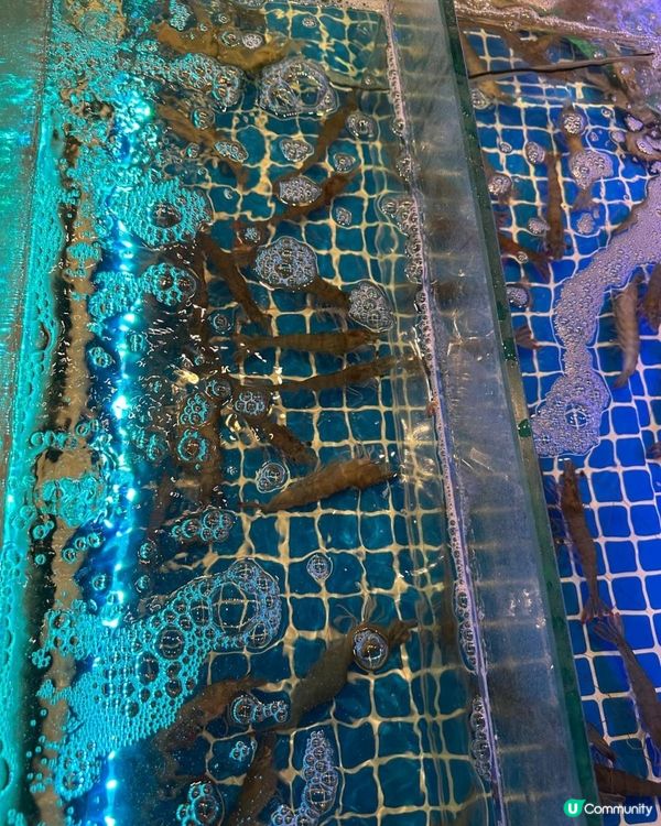 活蝦泰式火鍋🍲🩷