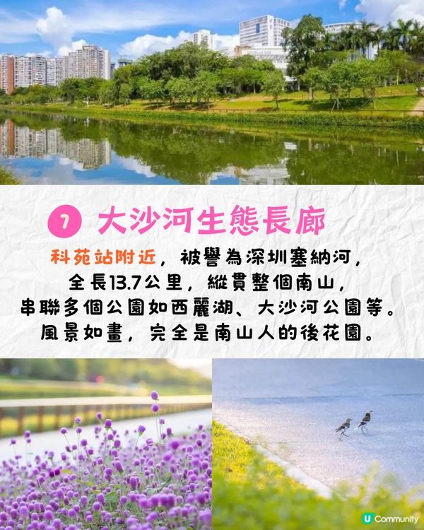 深圳地鐵13號線開通❗8大沿線景點推介🔥深圳熱門大型商場+絕美生態公園+24小時打卡書房🌹