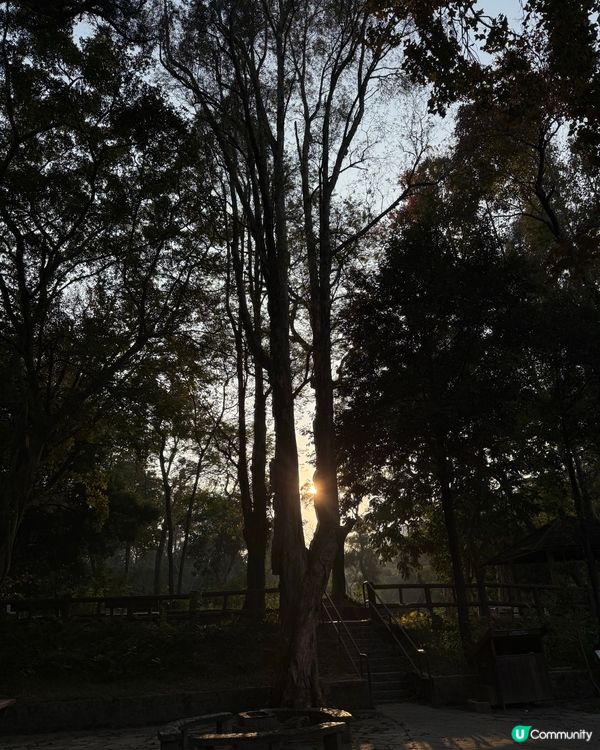 Let’s Go北潭涌傷健樂園燒烤場！😝