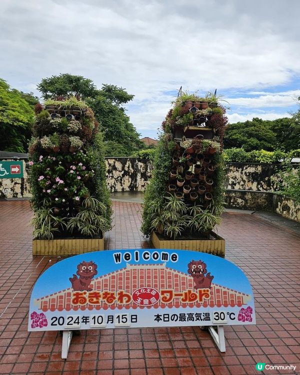 【沖繩大自然美景】｜沖繩世界｜探索玉泉洞｜殘波岬與萬座毛的完