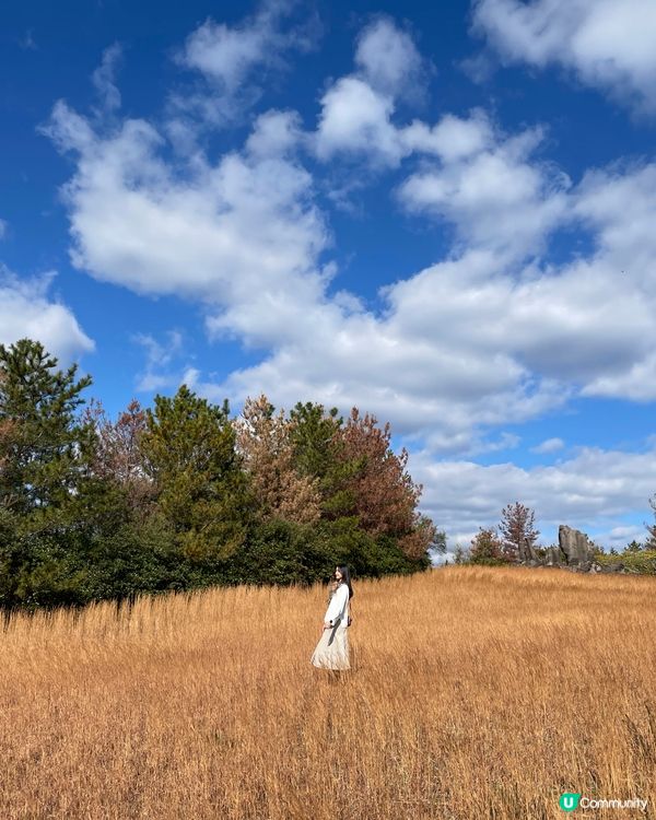 鹿兒島必去🦌近距離欣賞櫻島活火山🌋