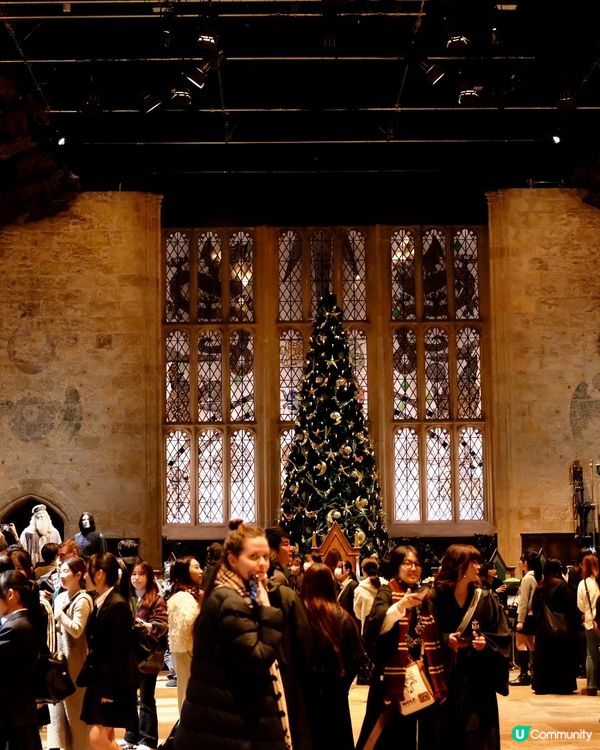 東京哈利波特影城🪄  魔法世界之旅！