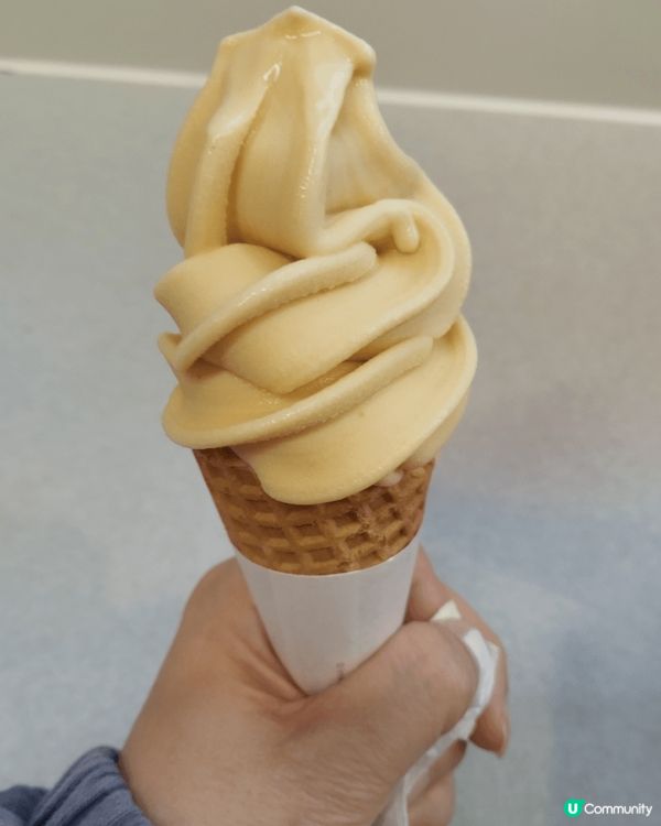 西樹濃朱古力泡芙及白桃士多啤梨泡芙，濃朱古力餡少但好食；白桃...