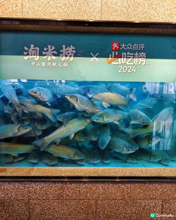 《皇崗村人氣中山脆鯇魚》