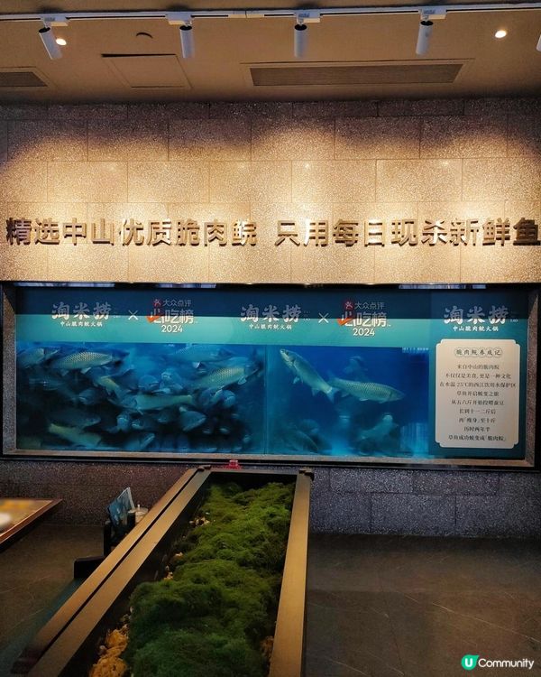 《皇崗村人氣中山脆鯇魚》