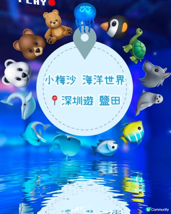 小梅沙 海洋世界   📍深圳遊 鹽田