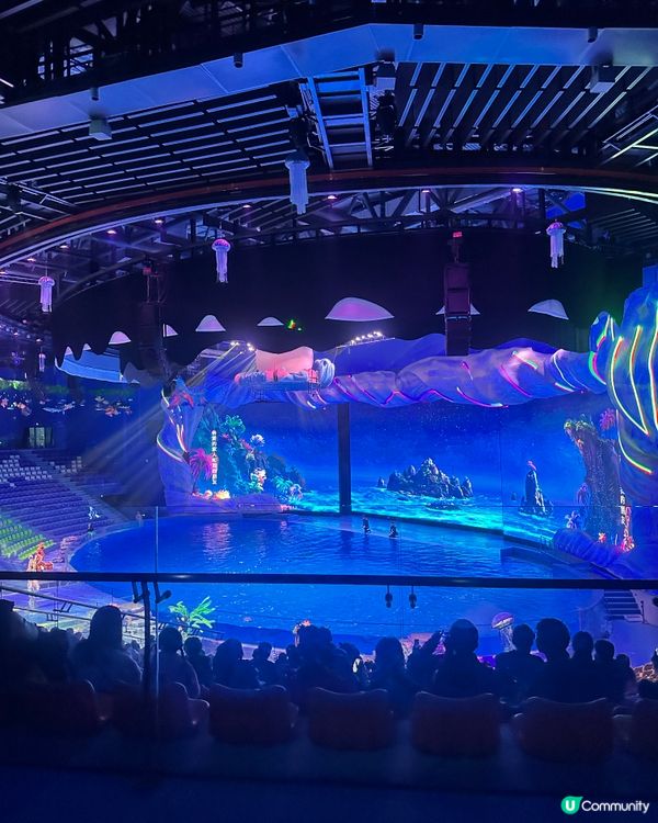 小梅沙 海洋世界   📍深圳遊 鹽田